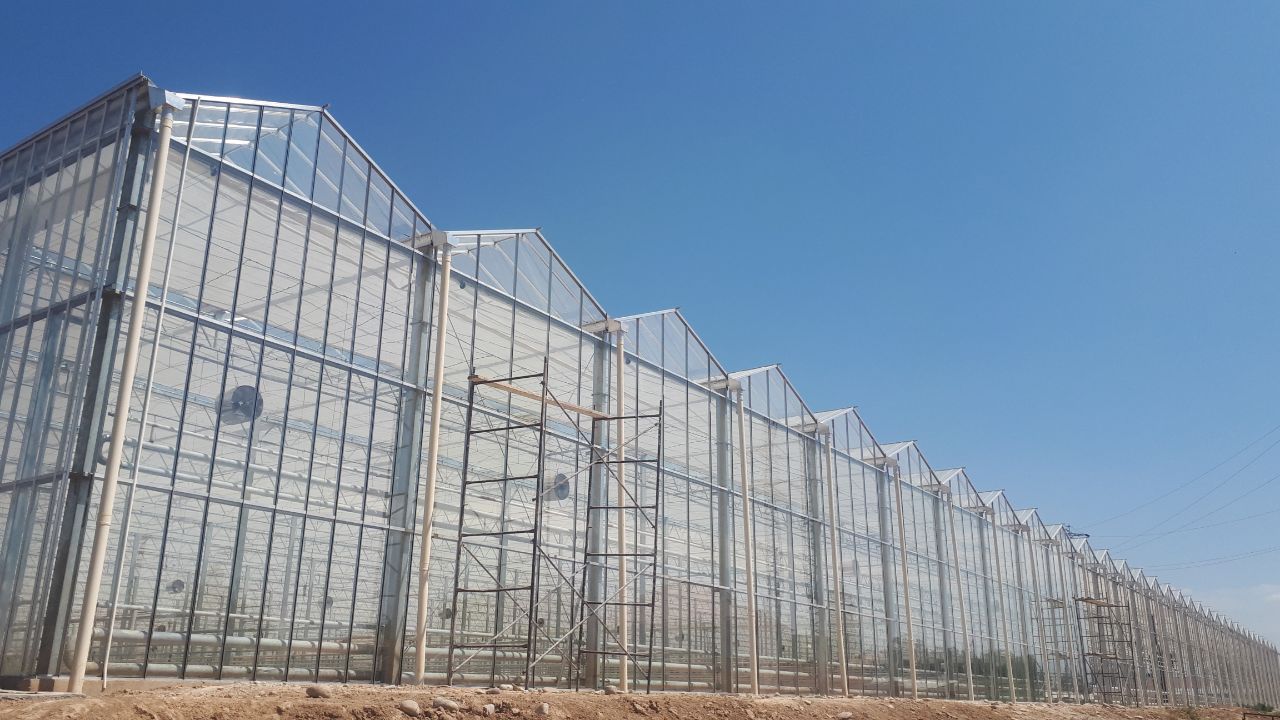 Agricultural land development in Khorezm Region — 5,000 hectares for bioethanol and biodiesel production