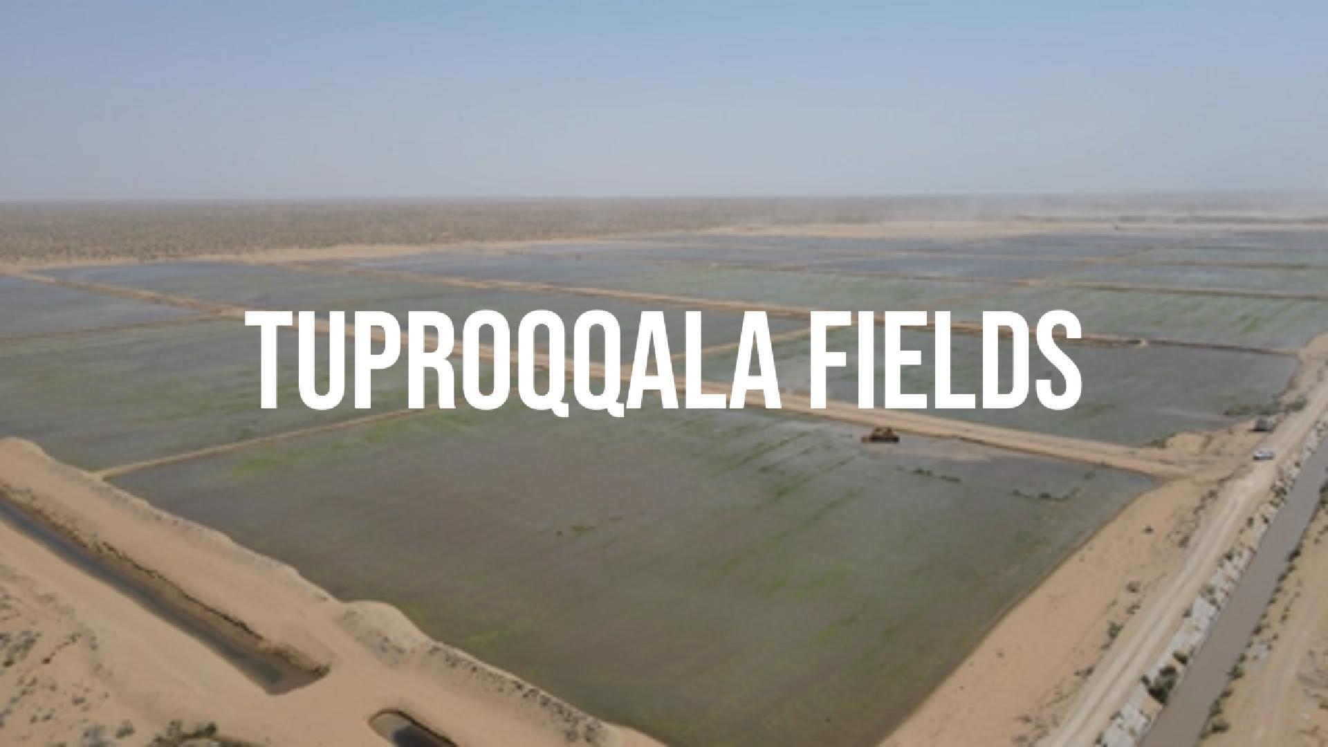 Agricultural land development in Khorezm Region — 5,000 hectares for bioethanol and biodiesel production